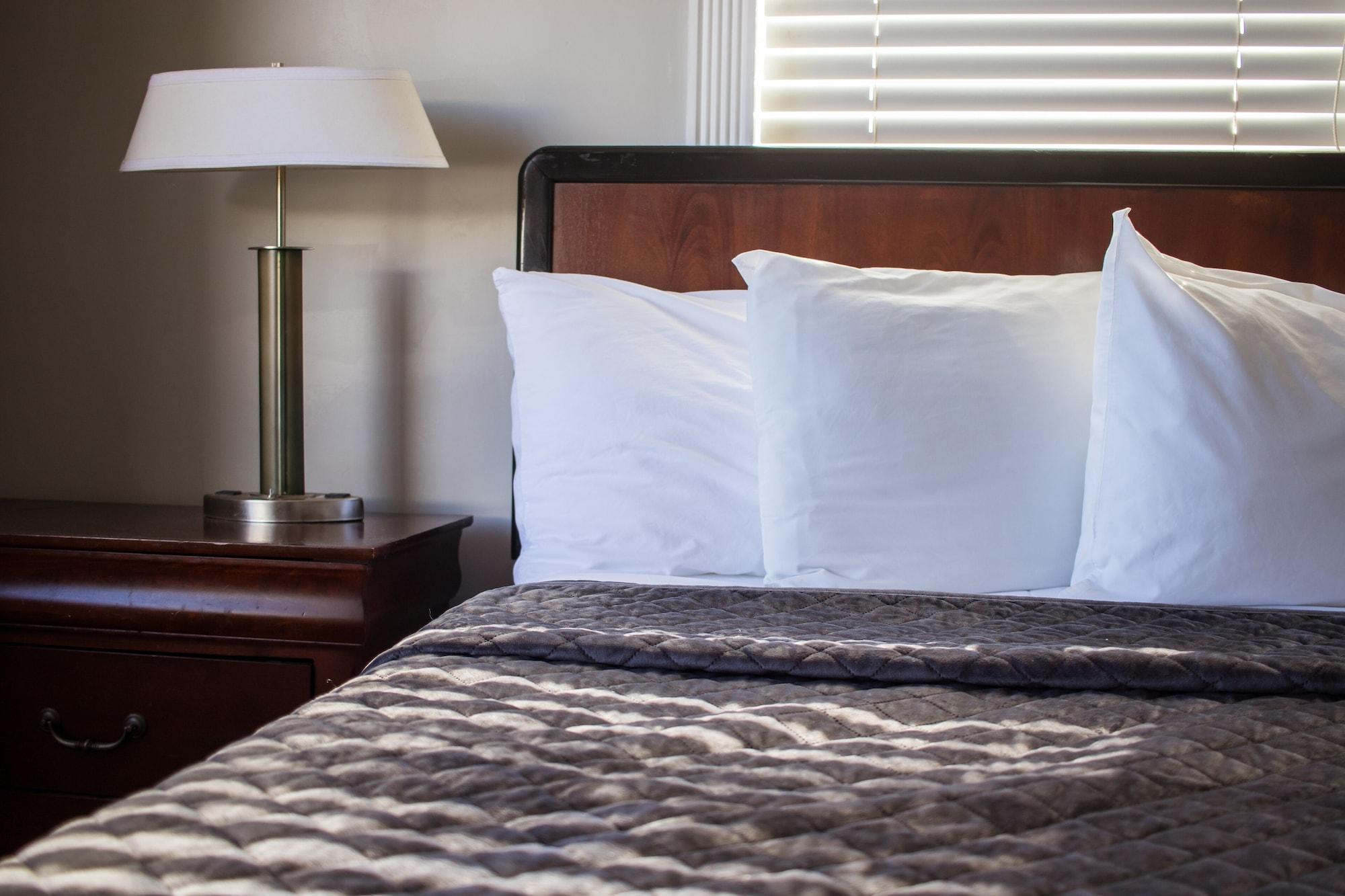 Riptide Oceanfront Hotel Hollywood Eksteriør bilde